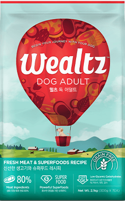 우리와:웰츠 독 어덜트