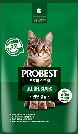 우리와 프로베스트 캣